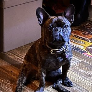 Meet your Posher, Sylvain